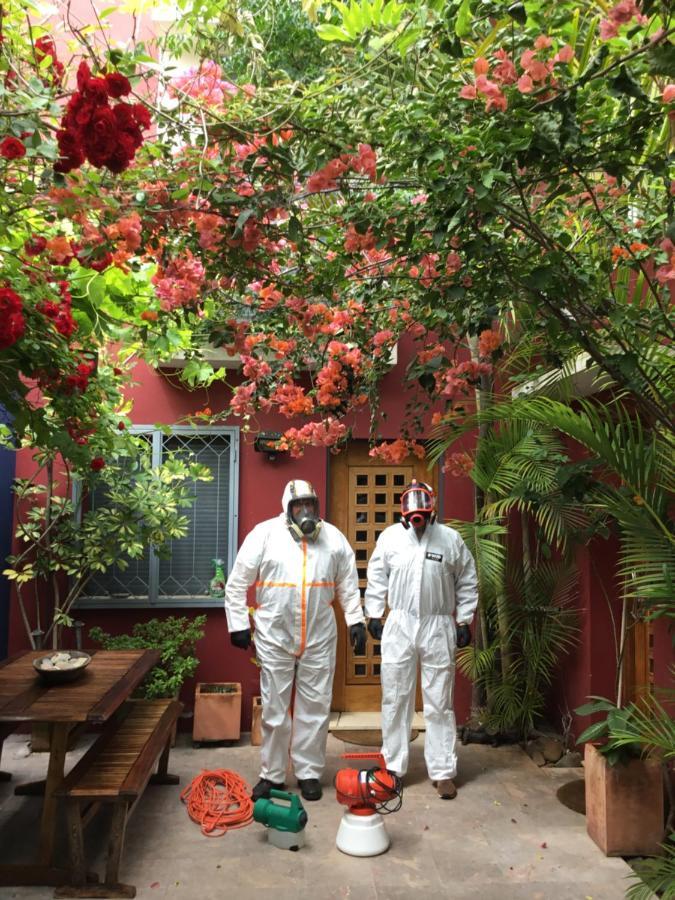 Figuras House Luxury Villa FAO Exterior photo